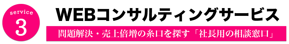 Service3 WEBコンサルティングサービス